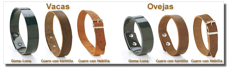 Collares para Vacas y Ovejas, cuero y Goma Lona, con hebilla o tornillo  - Cencerros Apezetxea