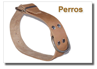 Collar Perros- cencerros Apezetxea