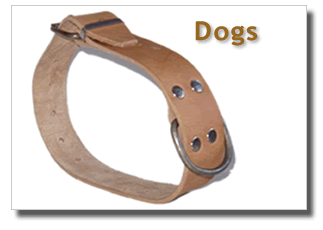 Collar Perros- cencerros Apezetxea