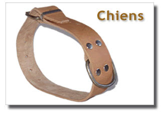 Collar Perros- cencerros Apezetxea