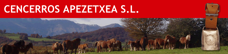 Cencerros Apezetxea S.L.